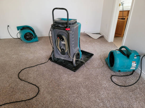 Best Water damage cleanup near me  in Moores Mill, AL