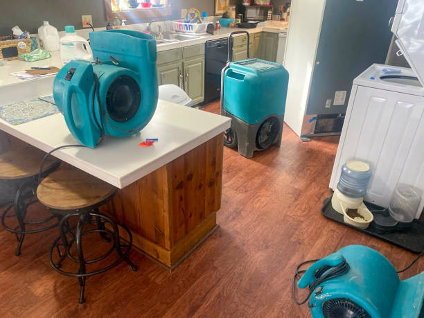 Best Flood damage cleanup  in Moores Mill, AL