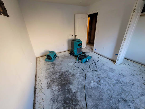 Best Professional water damage repair  in Moores Mill, AL