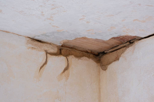 Best 24/7 water damage repair  in Moores Mill, AL