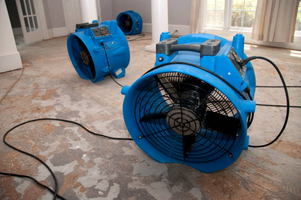 Best Commercial water damage restoration  in Moores Mill, AL