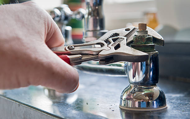 Best Mold removal after water damage  in Moores Mill, AL