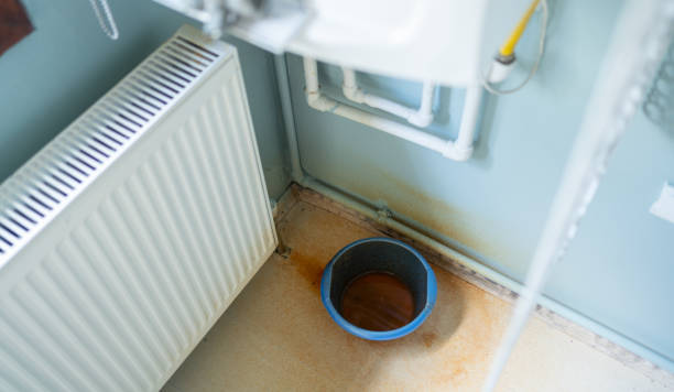Best Flood damage cleanup  in Moores Mill, AL