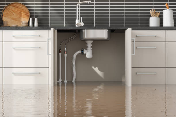 Best Sewage cleanup and water damage restoration  in Moores Mill, AL