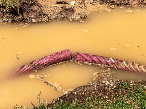 Best Water damage restoration process  in Moores Mill, AL