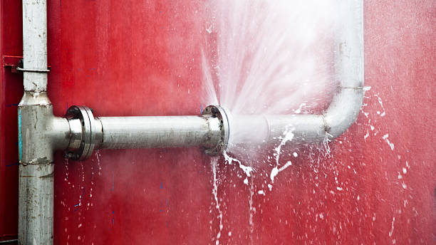 Best Carpet water damage restoration  in Moores Mill, AL